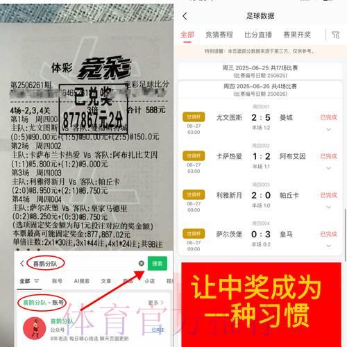 世界杯竞猜平台：如何在高收益与低风险之间寻求平衡